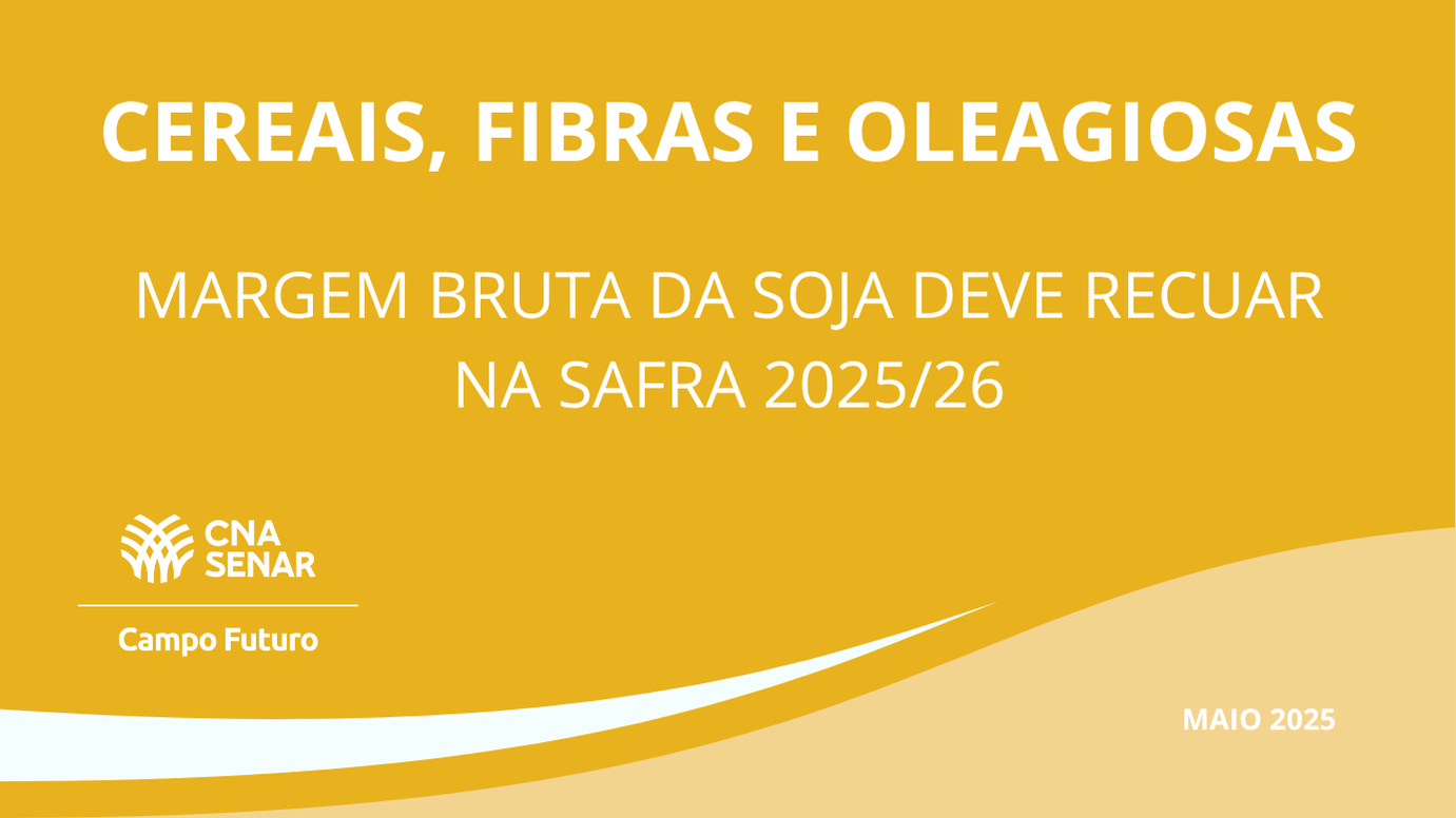 Margem bruta da soja deve recuar na safra 2025/26
