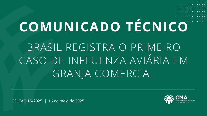 Brasil registra o primeiro caso de influenza aviária em granja comercial