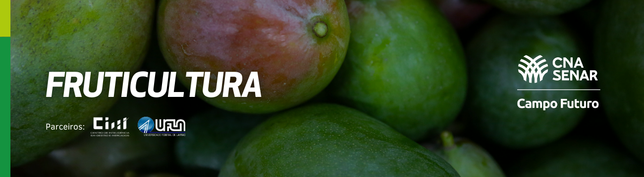 Impactos das flutuações do mercado internacional e custos em 2024