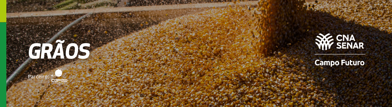 Desafios e estratégicas para a rentabilidade do sistema soja+milho 2º safra no Brasil