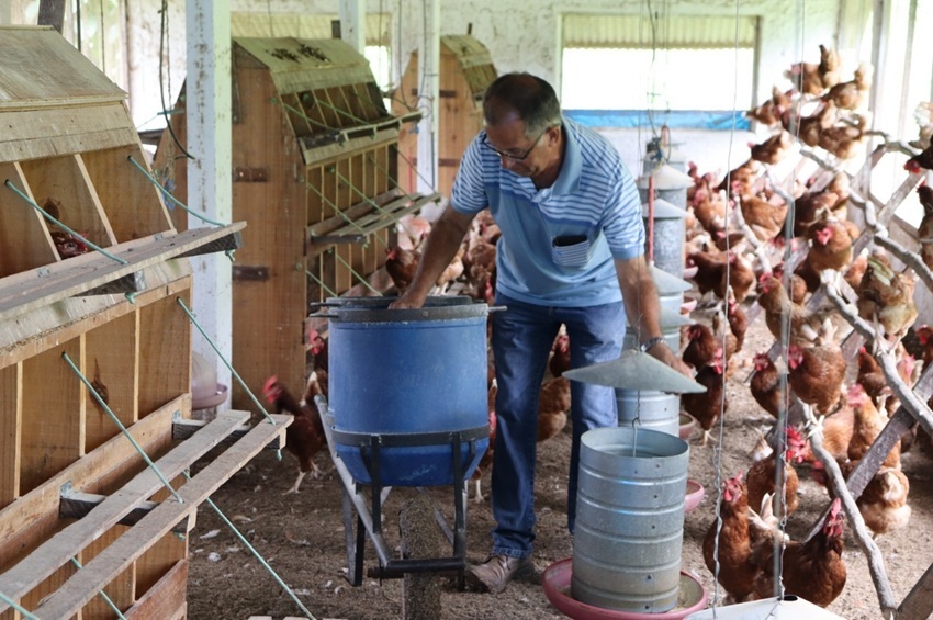 Guimarin elaborou o plano para a implantação do primeiro galpão de avicultura caipira