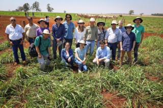Missão do AgroBrazil conhece produção integrada de bovinos e grãos em Caarapó (MS)