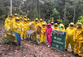 Senar realiza nova rodada de capacitação para o Agronorte
