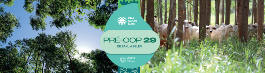 Banner posicionamento cop 29 2024