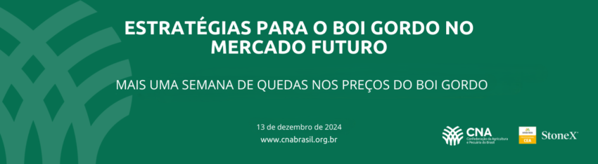 Boi Gordo dezembro de 2024
