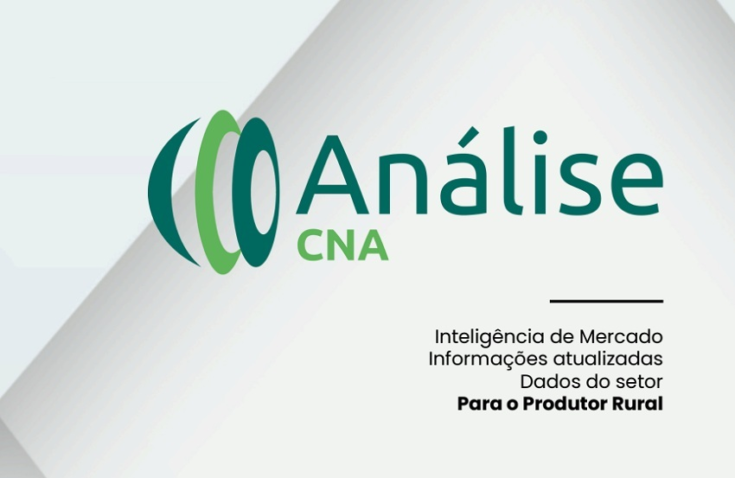 Analise cna agosto