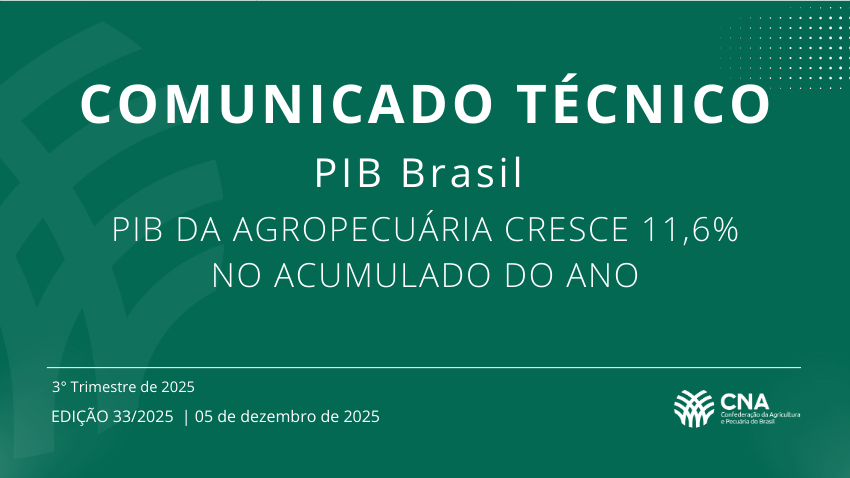 Comunicado Tecnico PIB Brasil DEZ 2025