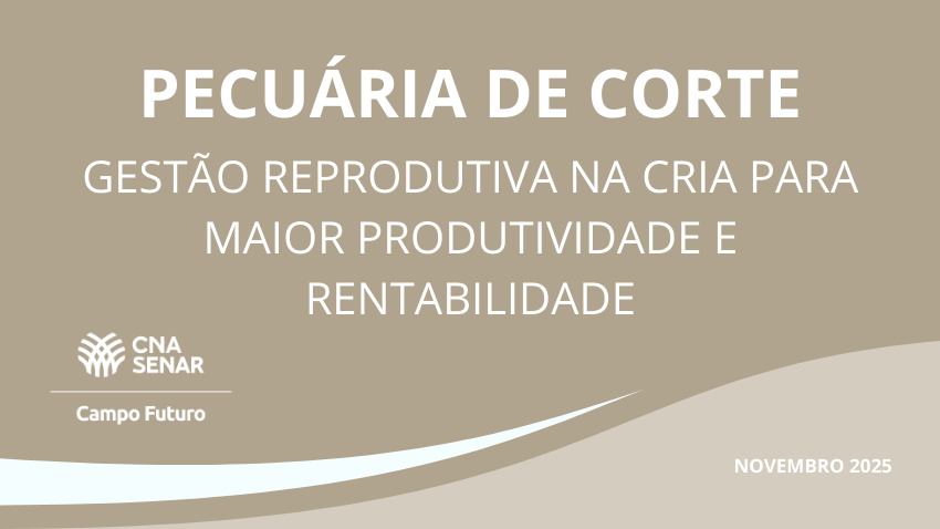 Pecuaria de corte novembro 2025
