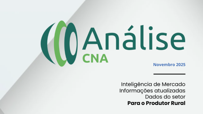 Analise CNA NOV 2025