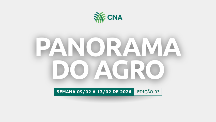 Panorama do Agro | Semana 09/02 a 13/02/2026 | Edição 03