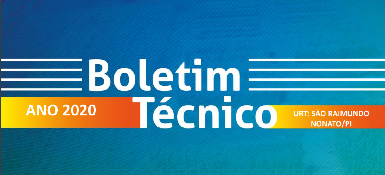 Boletim Técnico 2020 - URT São Raimundo Nonato/PI
