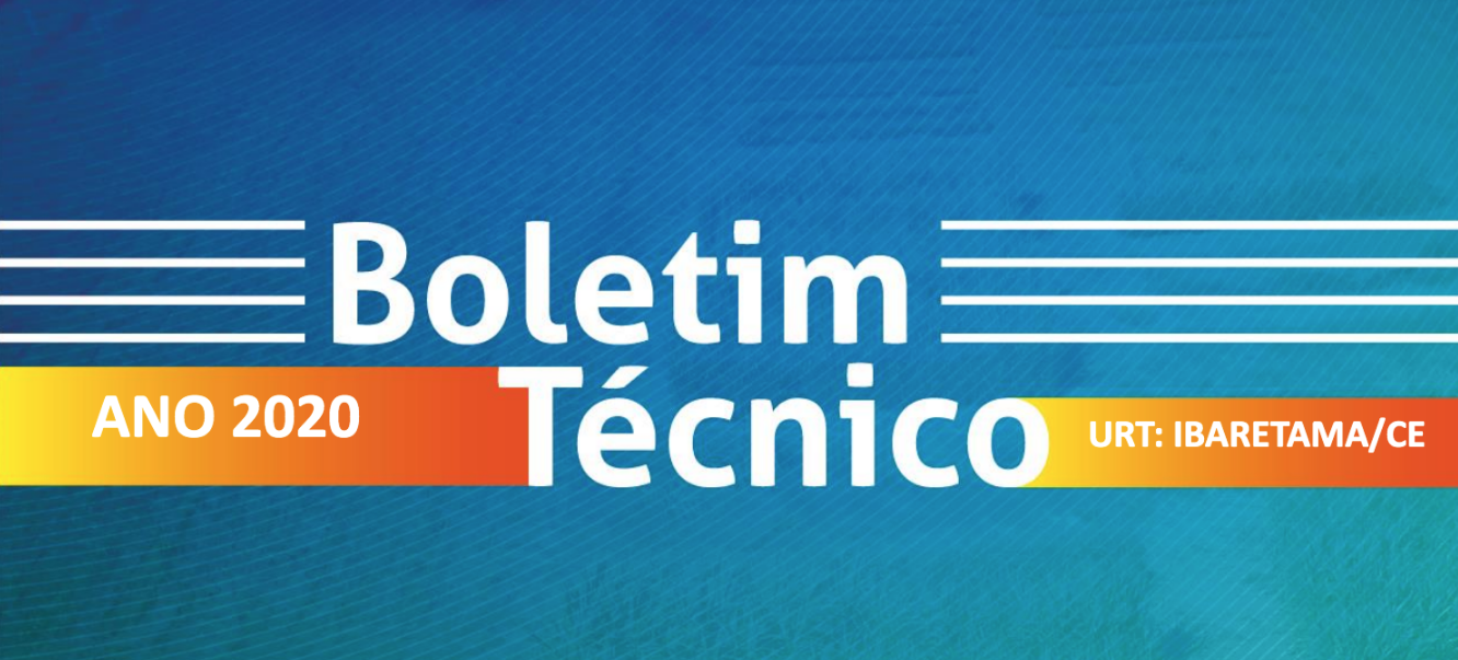 Boletim Técnico 2020 - URT Ibaretama/CE