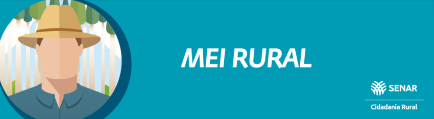 Banner cidadania rural MEI