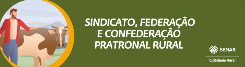 Banner cidadania rural sindicato federacao