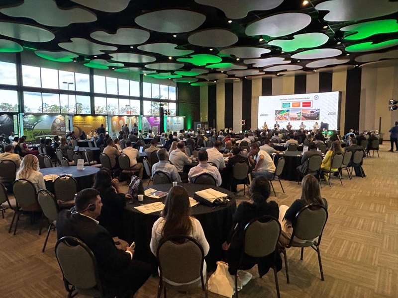 CNA participa de evento sobre feijão e pulses