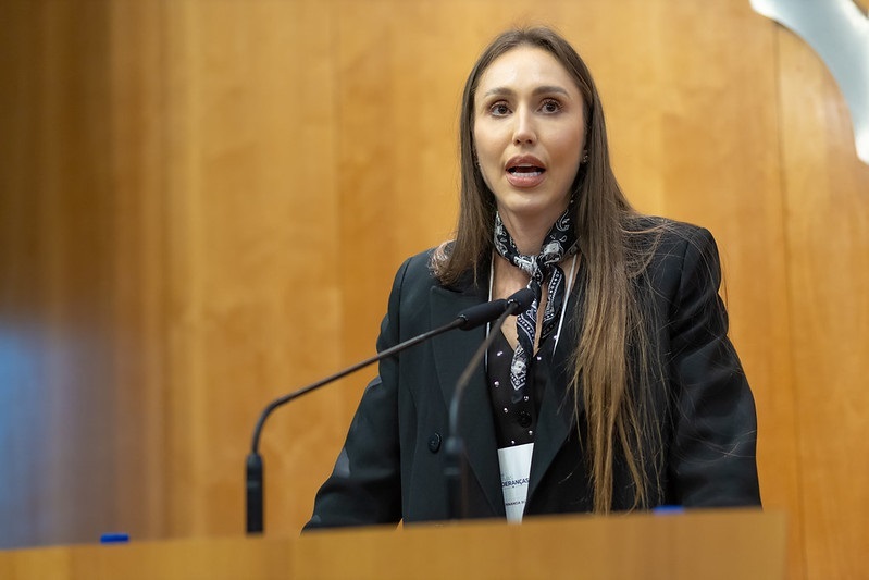 Fernanda Scherer Gehling, presidente da Comissão Nacional de Novas Lideranças