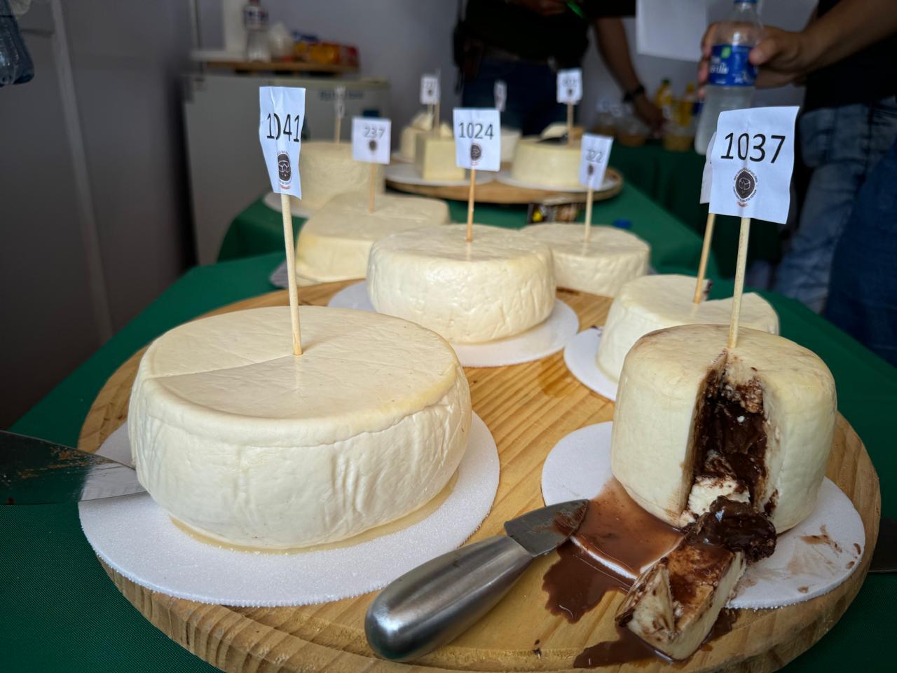 Concurso de Queijos Alto Sertão reconhece os melhores durante a ExpoGlória 2024