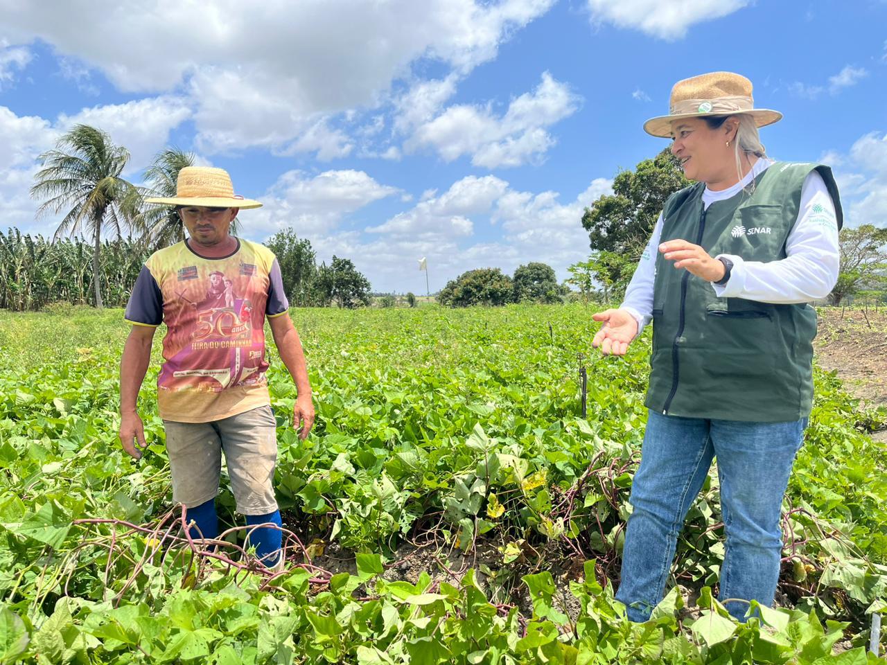 Planejamento e orientações técnicas mudam a vida do produtor rural no agreste sergipano