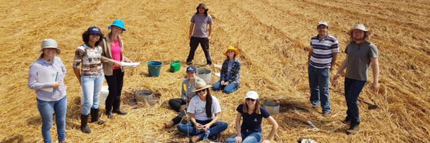 Grupo de pesquisa abre 1500x500