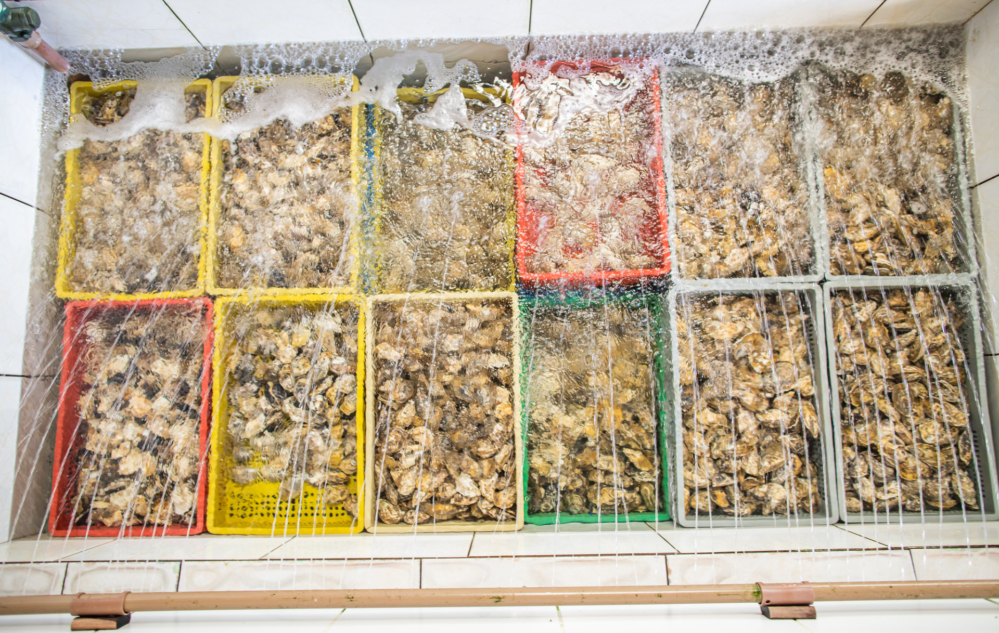 Acesse nosso flickr 👇