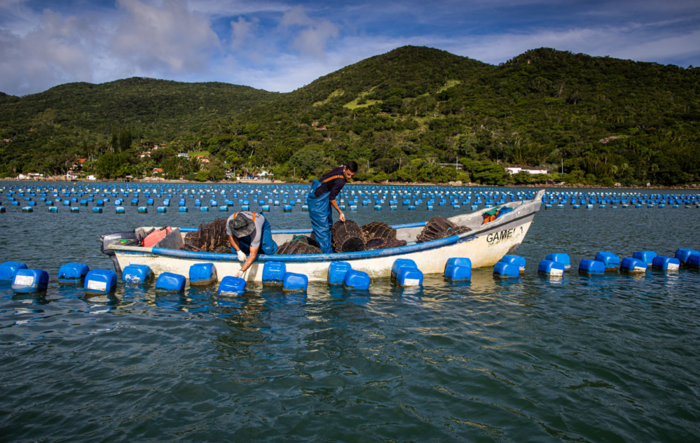 Acesse nosso flickr 👇