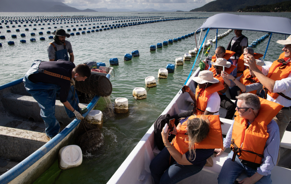 Acesse nosso flickr 👇