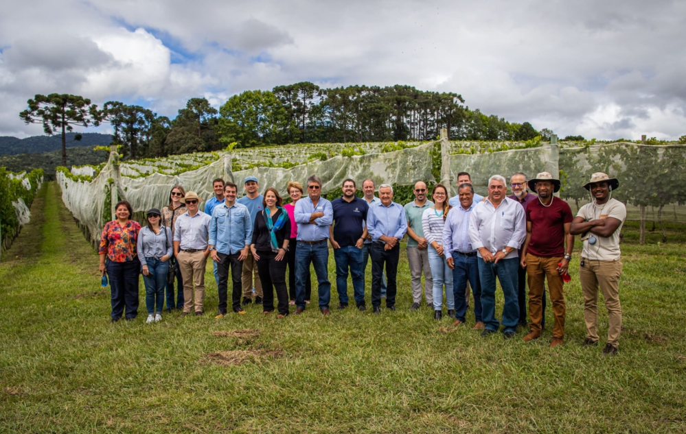 Acesse nosso flickr 👇