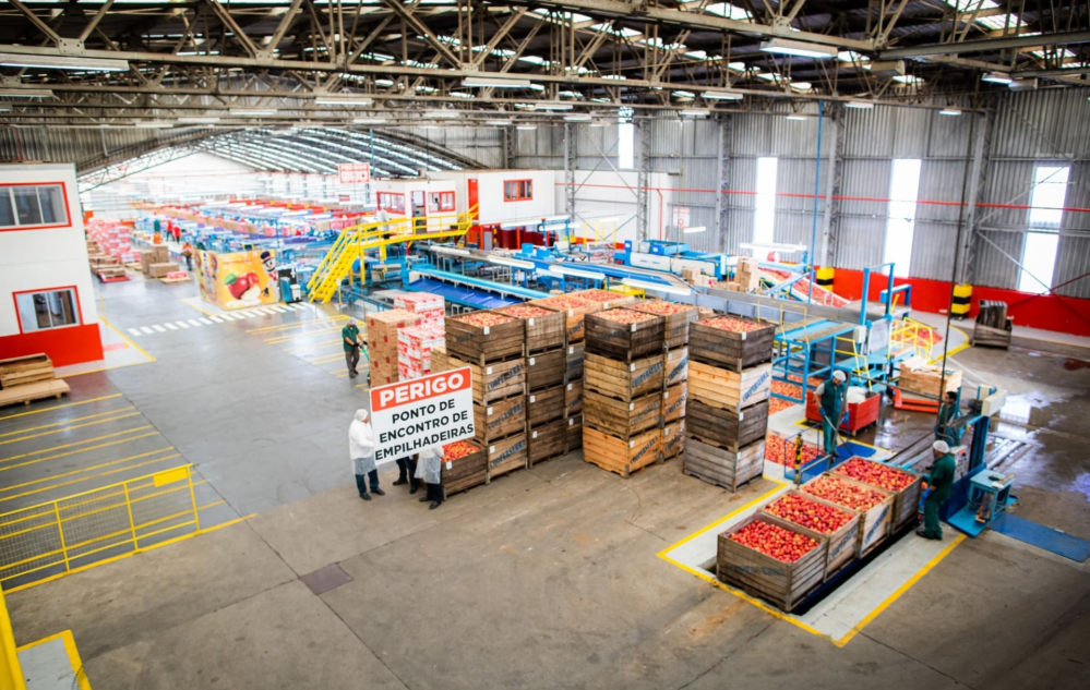 Acesse nosso flickr 👇