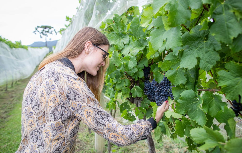 Acesse nosso flickr 👇