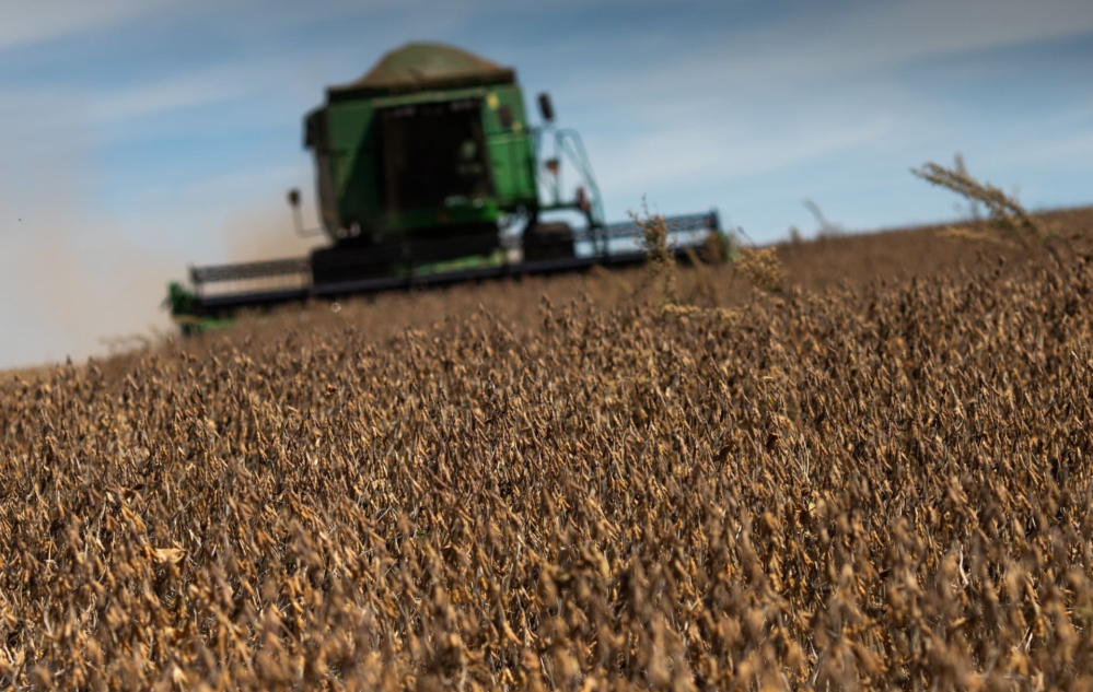 Acesse nosso flickr 👇