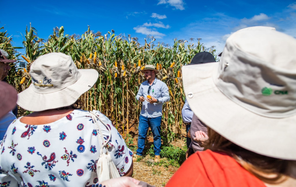 Acesse nosso flickr 👇