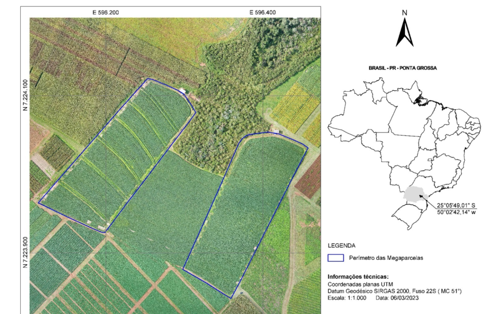 Imagens das pesquisas
