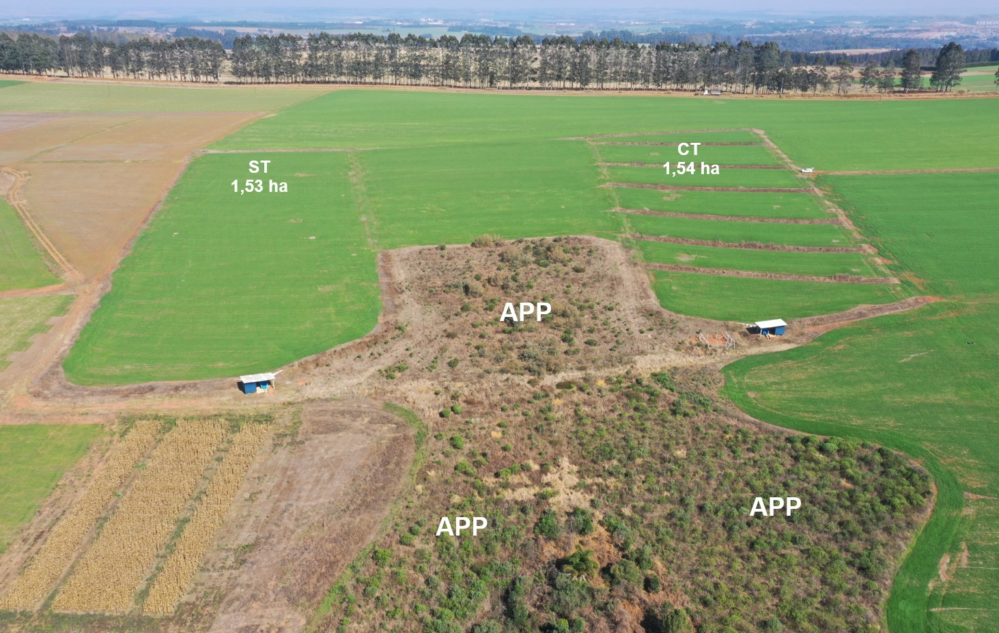 Imagens das pesquisas