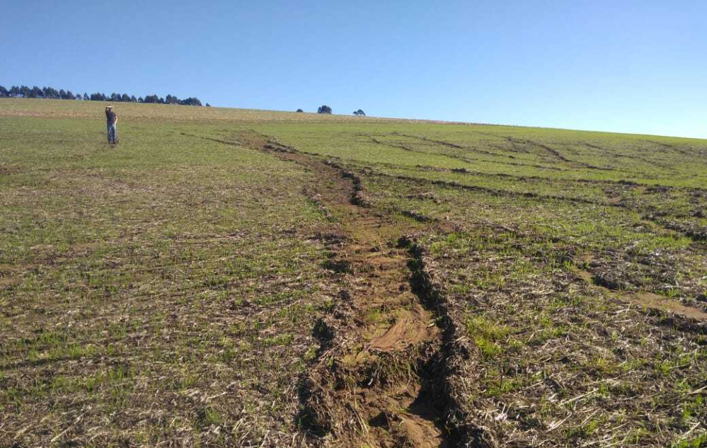 Imagens das pesquisas