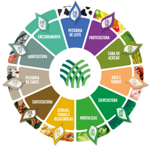 Imagem campo futuro 2022