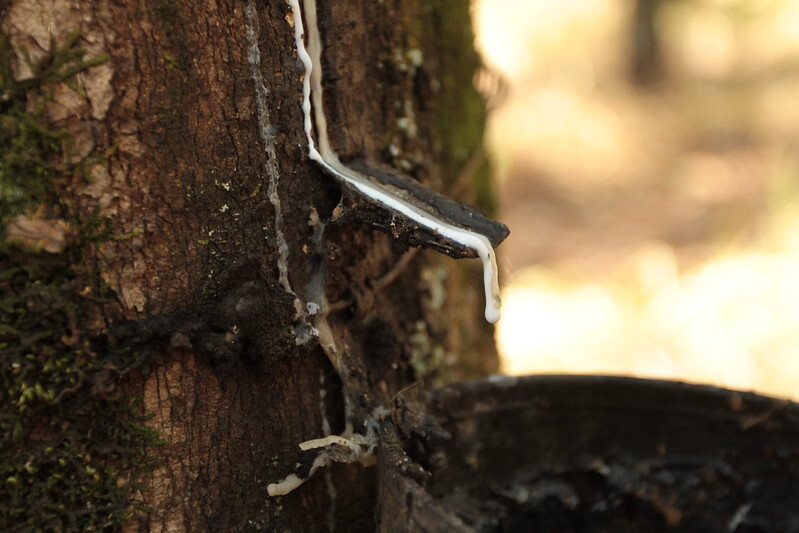 Preço da borracha natural importada tem queda de 4,8% em junho