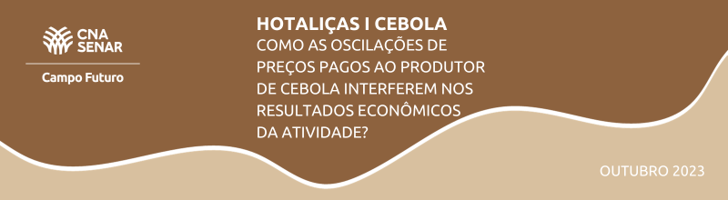 Hortaliças/Cebola: Como as oscilações de preços pagos ao produtor de cebola interferem nos resultados econômicos da atividade?