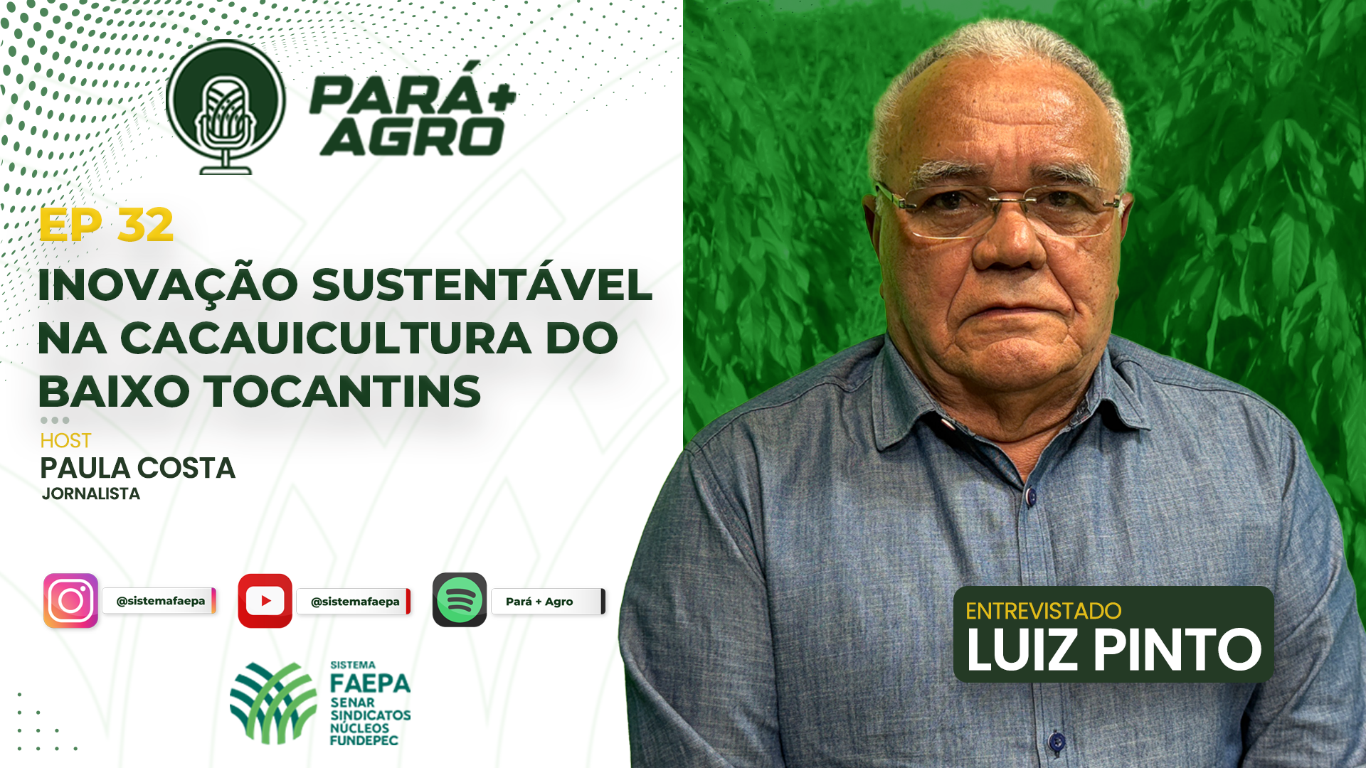 Pará+Agro: Inovação sustentável na cacauicultura do Baixo Tocantins