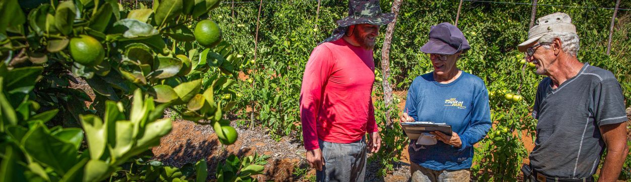 Empreendedores Familiares Rurais
