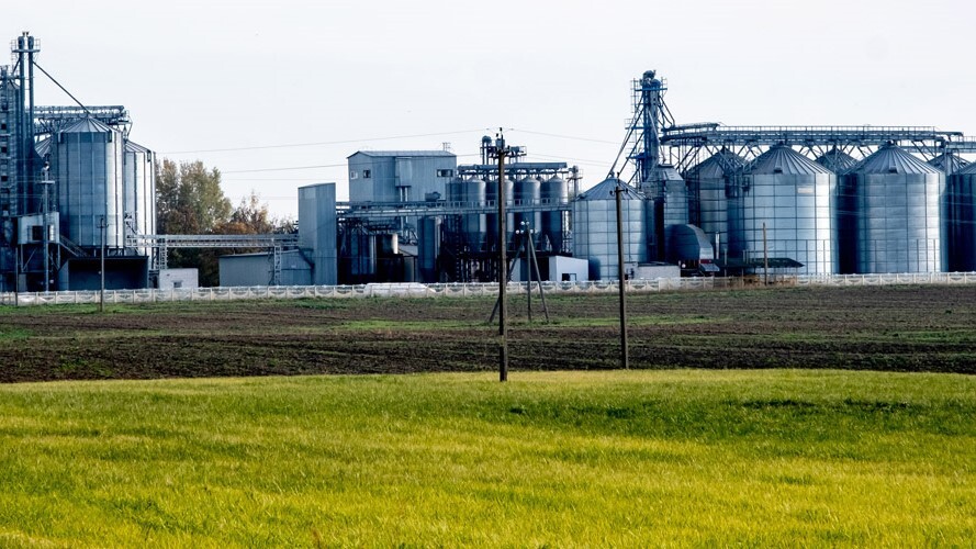 Déficit de armazenagem no Paraná põe produção de grãos em risco