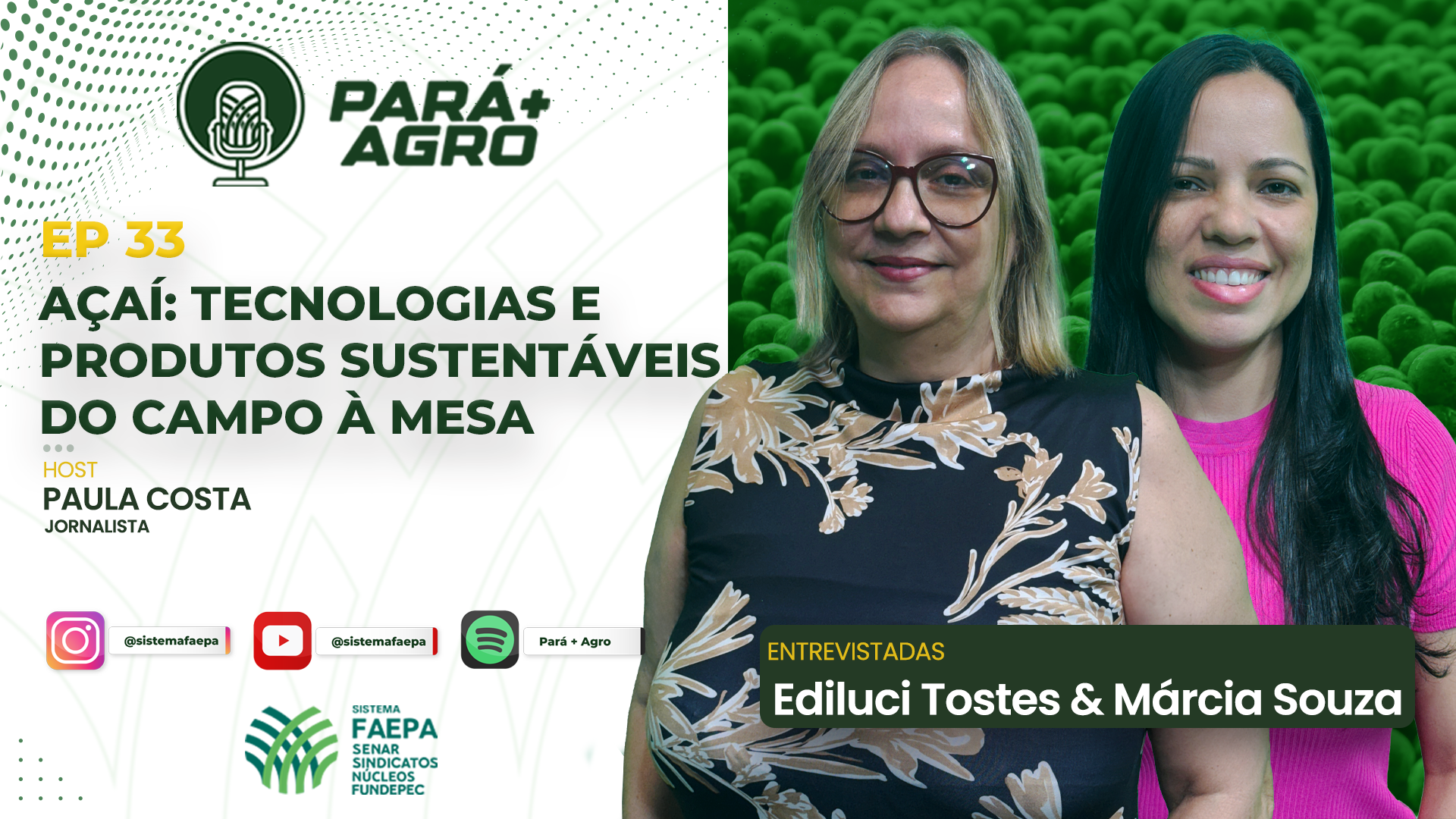 Pará+Agro: Açaí - tecnologias e produtos sustentáveis do campo à mesa
