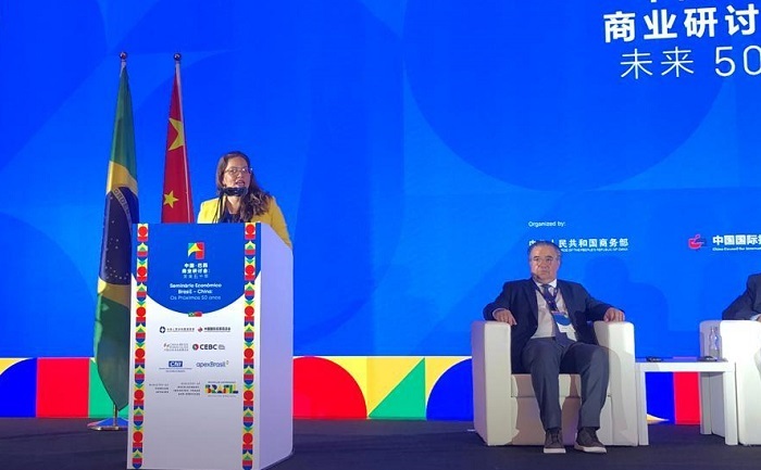 Sueme discursa no Seminário Econômico Brasil-China