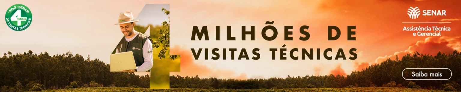 Imagem do banner rotativo