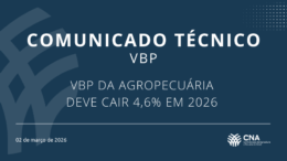 VBP DA AGROPECUÁRIA DEVE CAIR 4,6% EM 2026