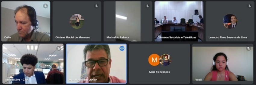 Camara setorial do cacau