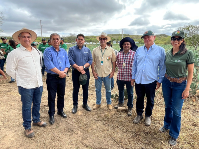 Capa noticia forrageiras para semiarido