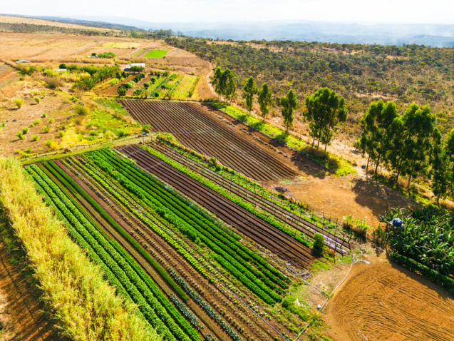 54139536639 b8cf6bc794 c