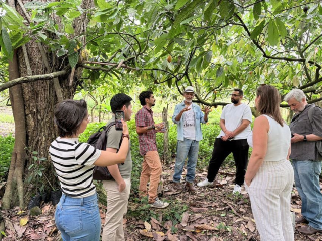 Whats App Image 2025 11 26 at 16 32 40 1