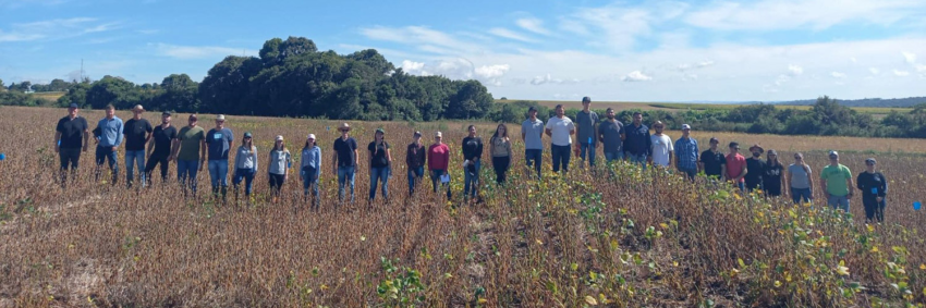Manejo de solos site