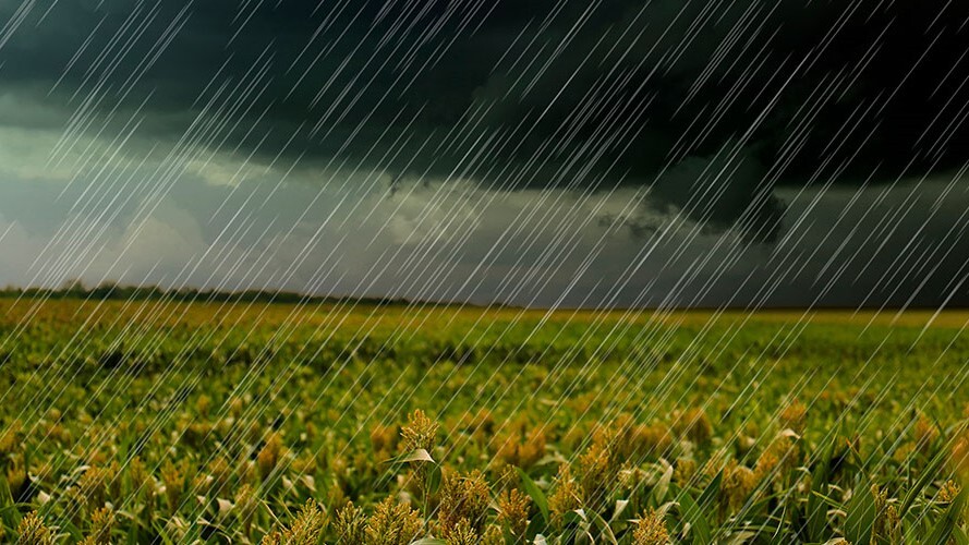 Sistema FAEP pede ampliação do Desenrola Rural a todos os produtores